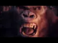 YAPPING MONKEY