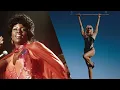 Download Lagu Gloria Gaynor \u0026 Miley Cyrus - I Will Survive  vs Flowers (Mashup)