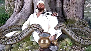अचानक आये अजगर जब साईं बाबा के कमंडल से विभूति खाने लगे | Shirdi Sai Chamatkar |