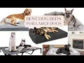Veterinarian Picks Best Dog Beds for Large Dogs 2024