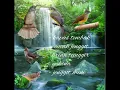 Download Lagu Suara Burung Masteran, kombinasi Type Beset..