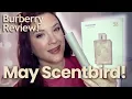 SCENTBIRD FRAGRANCE OF THE MONTH Burberry Brit Sheer Scentbird Subscription Fragrance Review