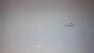 احمد ذكى قزقز كابوريا  دندنها