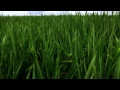 ZOFO - ZOFO Plays Terry Riley