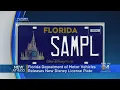 Florida Department Of Motor Vehicles Release New Disney License Plate