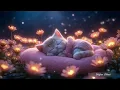Uyku Müzikleri / Ninni / Sleep Music