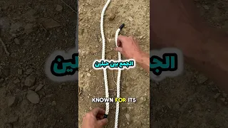 الجمع بين حبلين ربط الحبل بإحترافية  الجمع بين حبلين ربط الحبل بإحترافية