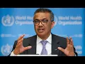 Download Lagu Watch again: World Health Organisation urges coronavirus testing