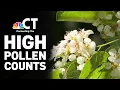 Warmer weather expected to push Connecticut pollen counts higher