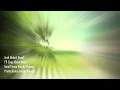 Josh Abbott Band - I'll Sing About Mine (Lyrics)