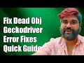 Fixing Can t Access Dead Object Error in Geckodriver Troubleshooting Guide