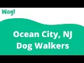 Ocean City NJ Dog Walkers Wag