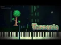 Terraria - Overworld Night Piano Cover
