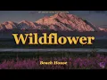 Beach House - Wildflower (lyrics)