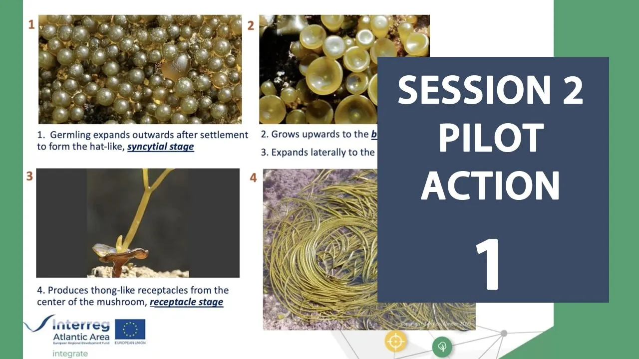 INTEGRATE FINAL EVENT - SESSION 2: IMTA Best-Practice in the Atlantic Area - PILOT ACTION 1