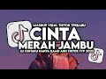 Download Lagu Cinta merah jambu DJ remix version #dj viral