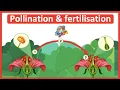 The process of pollination fertilisation Step-by-step process
