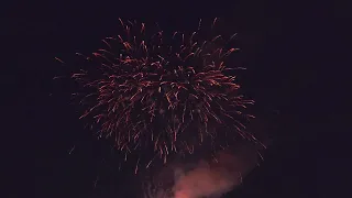 Tiger Frenzy 216 shots Firework