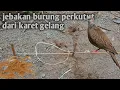 Download Lagu cara membuat jebakan burung perkutut yang mudah