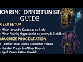 Maximizing Jorvuld s Guidance and Roaring Opportunist ROJO