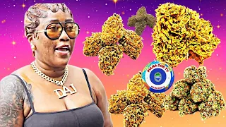 Allegations And Scandals Concerning Kush Are Directing Attention Towards Admire Bio  Allegations And Scandals Concerning Kush Are Directing Attention Towards Admire Bio