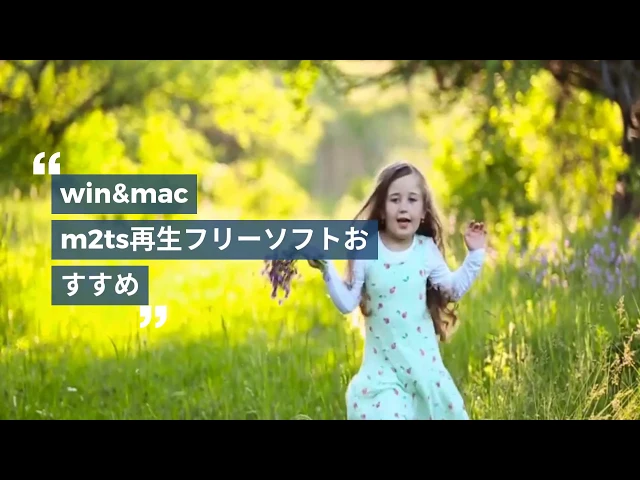 M2ts 再生 M2tsを再生するフリーソフト及び再生方法