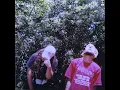 Mount Sinai - $uicideboy$