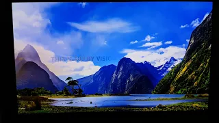 lg oled demo dolby vision atmos