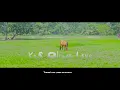 Download Lagu TOLUWANI - KOS'OLUWA LAYE[Official Video]