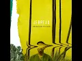 Really Got It - JERREAU