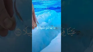 عينا فيها تسمى سلسبيلا القارئ محمد اللحيدان  عينا فيها تسمى سلسبيلا القارئ محمد اللحيدان