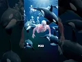 Channel