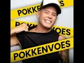 Pokkenvoes