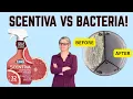 Can Scentiva by Clorox Remove Bacteria I Tested It
