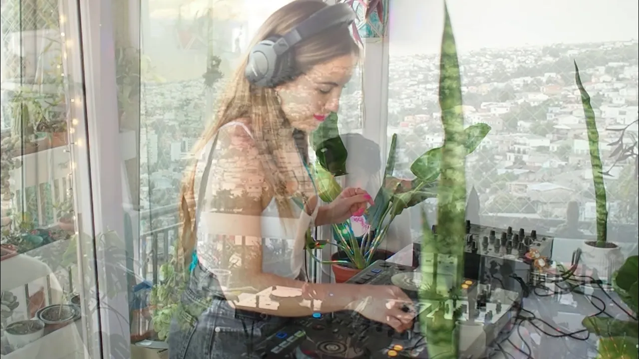 Lotus Pharma - Tránsito