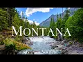 Lagu Montana 4K - Peaceful Landscapes of Pines, Peaks and Pristine Rivers - Relaxing Music