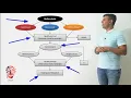 IELTS FLOW CHARTS COMPLETE ANALYSIS GET 7 BANDS EASILY