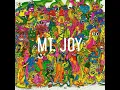 MT. JOY - Lemon Tree