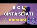 Download Lagu Bunga Citra Lestari - Cinta Sejati - Karaoke tanpa vocal