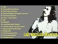 Lagu IWAN FALS FULL ALBUM 2025 Nostalgia Terpopuler Nak, Siang Seberang Istana, Bongkar, Ibu