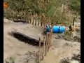 Catching a python with a chicken