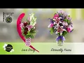 Cattleya Shop Local Mixed Floral Arrangement Care with Tony Swick
