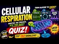 Cellular Respiration Quiz - Best Exam Review for Students Kids