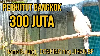 Download MANTAB PERKUTUT DI TAWAR 300 JUTA PEMILIK JIHAN BIRD FARM PASURUAN || MASTERAN PERKUTUT BANGKOK MP3