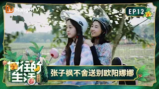 FULL《向往的生活第四季》第12期：宋丹丹认可彭昱畅优质潜力股？张子枫不舍送别欧阳娜娜｜Back To Field S4｜Mango TV