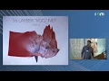 Tom Goldstein What do neural loss surfaces look like