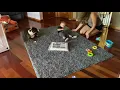 Review of LHFLIVE 2 x 3 Non-Slip Area Rug Pad Extra Thick Pad