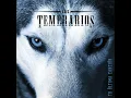 Corazón de Otro - Los Temerarios