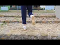 Download Lagu Guli berjalan di sepanjang danau hanya mengenakan kaus kaki, kaus kakinya menjadi sangat basah dan tertutup pasir