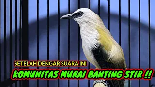 Download trucukan gacor ISIAN MURAI SAMBUNG ROPEL PANJANG bikin geleng geleng komunitas murai batu MP3